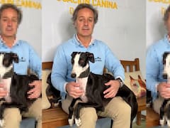 Juan Freire, educador canino español: "Si quieres tener a tu primer perro estas son las cinco razas que te recomiendo"