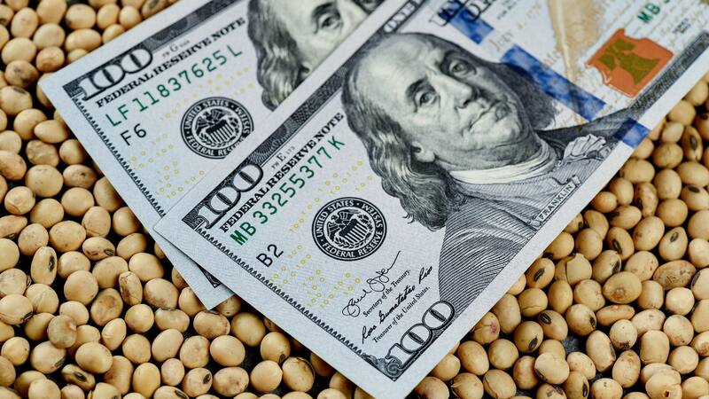 El BCRA sigue acumulando dólares en sus arcas, aunque persisten las dudas si se conseguirá recaudar u$s 3000 millones durante todo el mes.