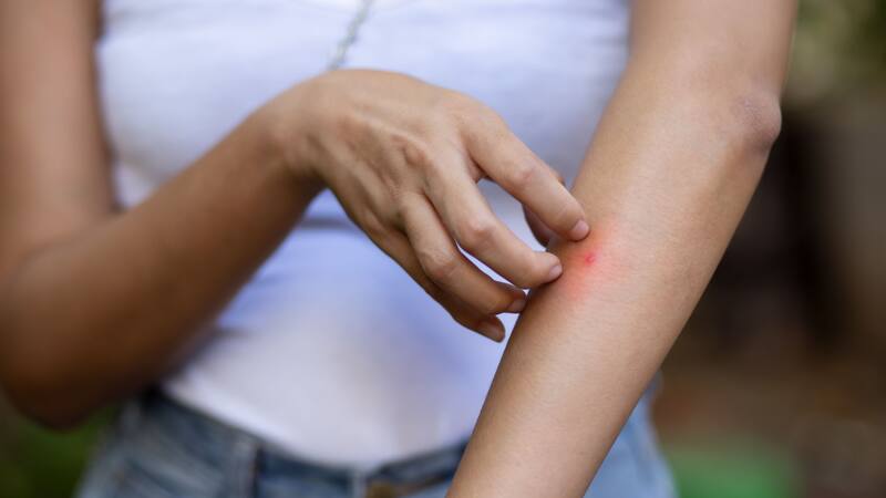 <div class="migrated-promo-image__description"><div class="migrated-promo-image__source">Fuente: Shutterstock</div></div>