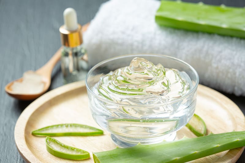 El aloe vera puede fortalecer los folículos capilares, ayudando a prevenir la caída excesiva del cabello. Foto: archivo El Cronista México.