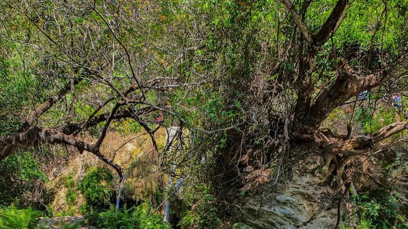 Este lugar mágico ofrece la oportunidad de conectarse profundamente con la naturaleza.