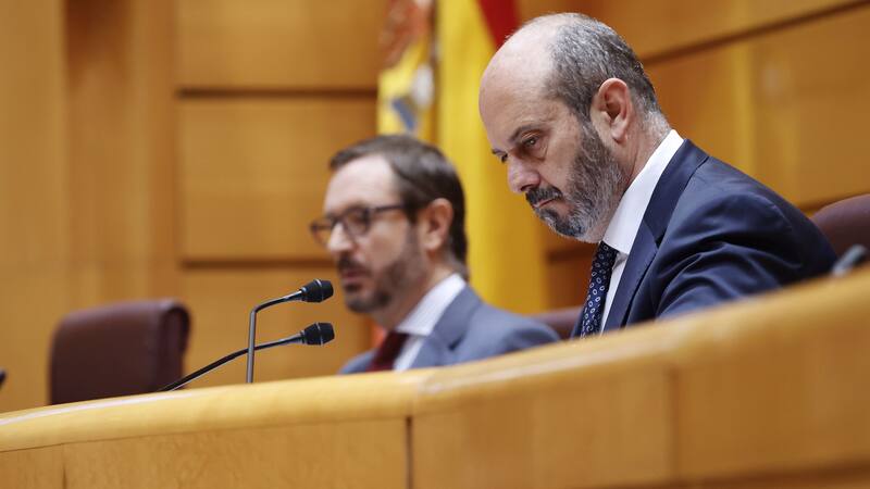 El presidente del Senado español Pedro Rollán.