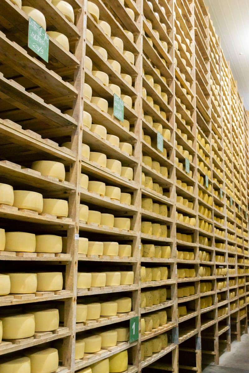 El parmesano de Quesos Migue se produce con técnicas artesanales y una maduración de 10 meses. (Foto: Web Quesos Migue)