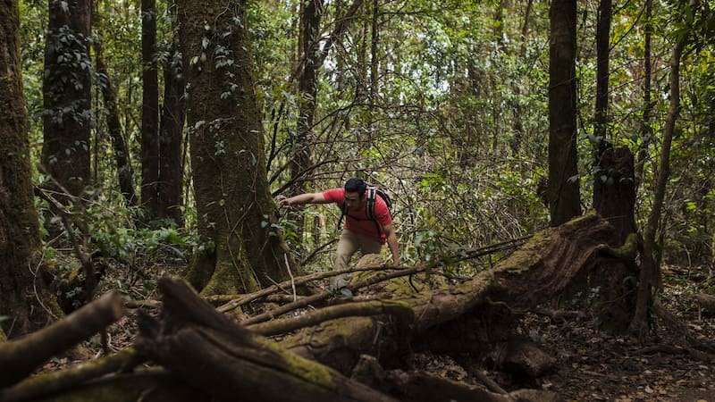 Los migrantes suelen tardar diez días en atravesar el Darién.