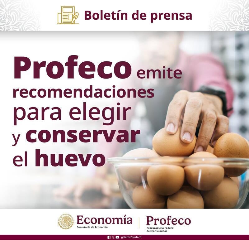 Recomendación de la Profeco para almacenar bien los huevos. Fuente: Profeco.