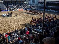 Exposición Rural: esperan 1,3 millones de visitantes y remates por $ 75.000 millones