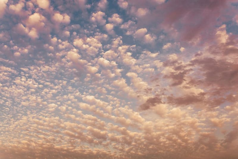 ¿Cómo está el tiempo mañana?