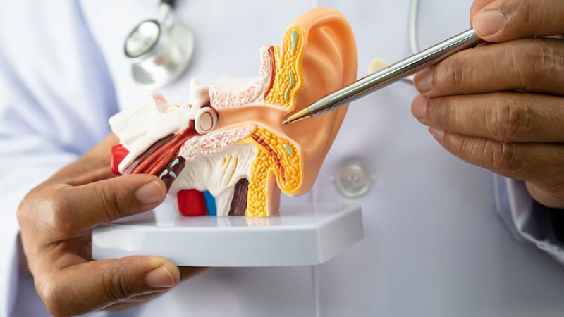 Revelación científica del siglo: investigadores hallan la fórmula para devolverle la audición a millones de personas.