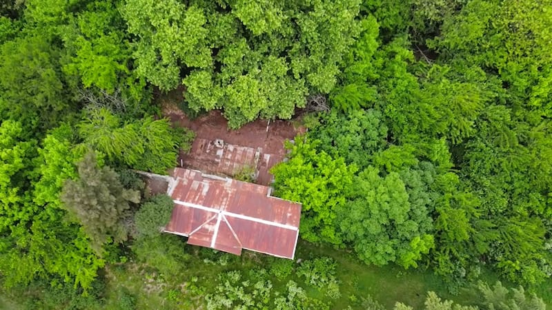 La naturaleza copó todos los espacios. Fotos: capturas.