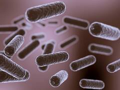 Alerta en México | Tratamientos con células madre incompletos provocan infecciones mortales