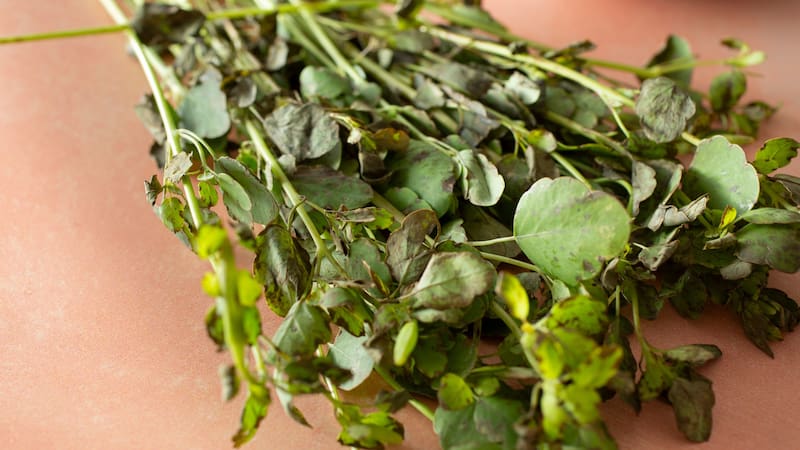 <div class="migrated-promo-image__description"><div class="migrated-promo-image__source">Fuente: Shutterstock </div></div>