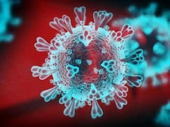 La crisis del coronavirus generó un debate con final abierto: salud o economía