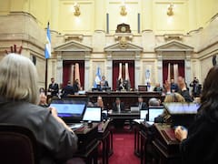 El Senado sancionó el financiamieto universitario y se dispone a aprobar la ley Garrahan