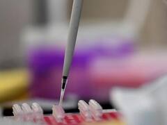 La OMS trabaja en una vacuna contra el coronavirus: cuándo estará disponible