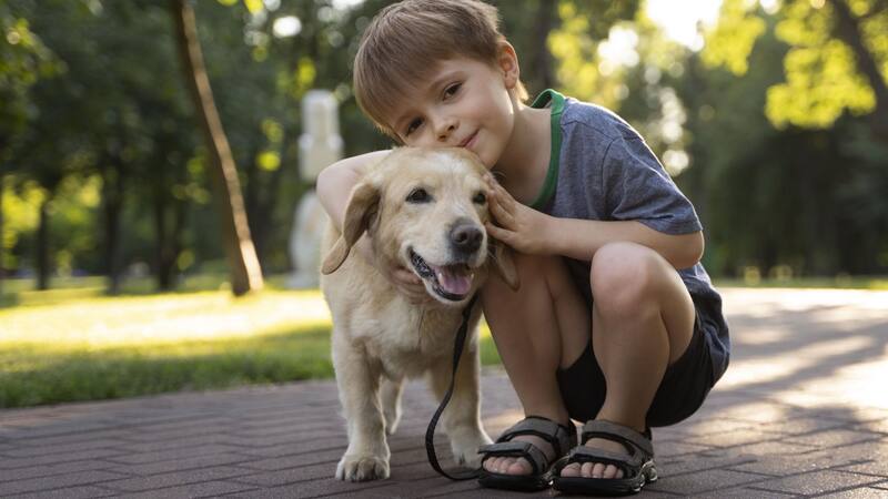 Este país de Sudamérica se convirtió en líder mundial en cantidad de mascotas por hogar.