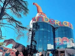 La juguetería más grande de Latinoamérica se encuentra en Argentina: cuatro pisos de puros juguetes y coleccionables de lujo