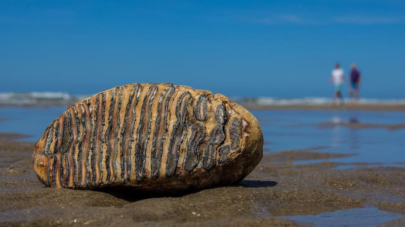 <div class="migrated-promo-image__description"><div class="migrated-promo-image__source">Fuente: Shutterstock</div></div>