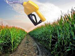 Biocombustibles: la paradoja de un sector que con actividad record pero en crisis por sus precios