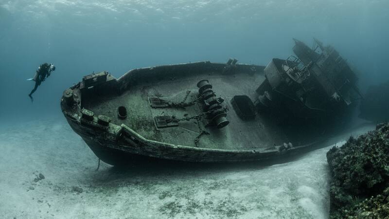 <div class="migrated-promo-image__description"><div class="migrated-promo-image__source">Fuente: Freepik </div></div>