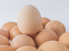 Se disparan los huevos en silencio