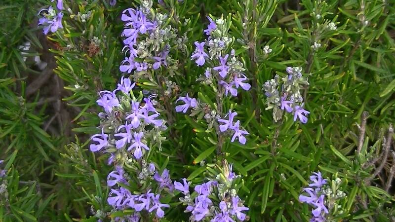 <div class="migrated-promo-image__description"><div class="migrated-promo-image__source">Fuente: Archivo</div></div>