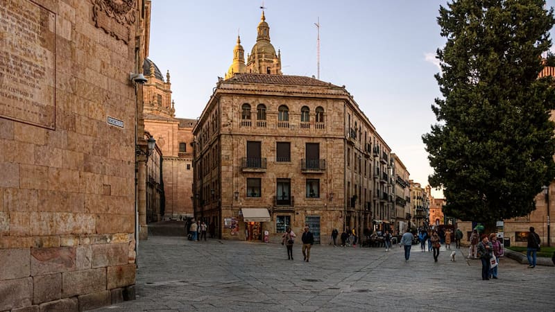 <div class="migrated-promo-image__description"><div class="migrated-promo-image__source">Fuente: Pexels</div></div>