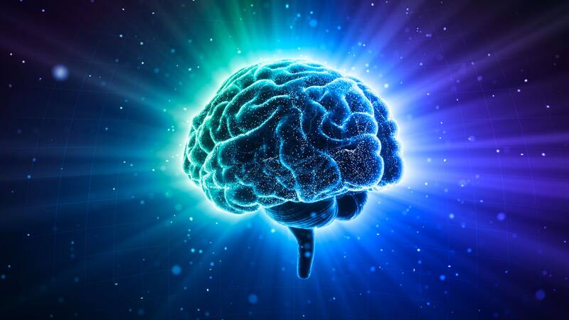Descubrimiento revolucionario revela el secreto del reciclaje cerebral. Fuente: Shutterstock.