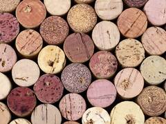 Bodegas, un sector que quiere alzar la copa