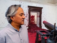 Anish Kapoor y sus juegos de percepción y política en PROA