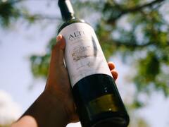 Gualtallary Wines: la bodega boutique premium que conquista el mundo