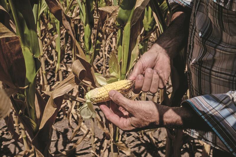 Existe un 62 % de probabilidad de persistencia de sequía durante el cuarto trimestre del año