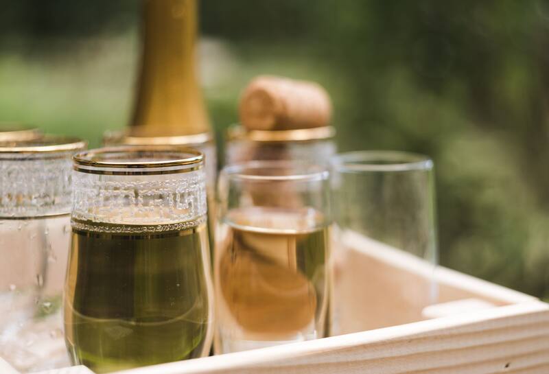 En un ciclo eterno de dar y recibir, celebramos la vida y agradecemos la generosidad de la Madre Tierra. Fuente: FreePik.