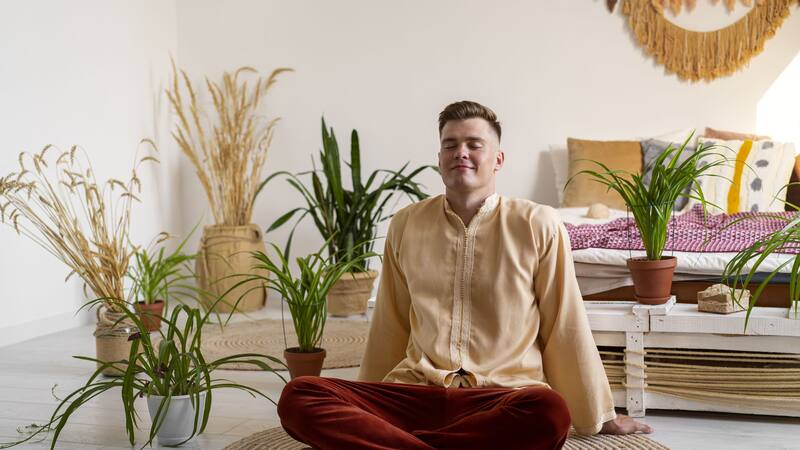 El Feng Shui propone un ritual de fin de semana que utiliza hojas de laurel para atraer abundancia.