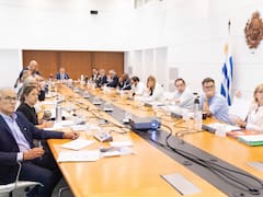 Orsi encabeza el Consejo de Ministros con la mira puesta en rescindir el contrato con Cardama