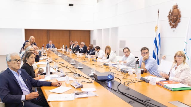 Orsi encabeza el Consejo de Ministros con la mira puesta en rescindir el contrato con Cardama