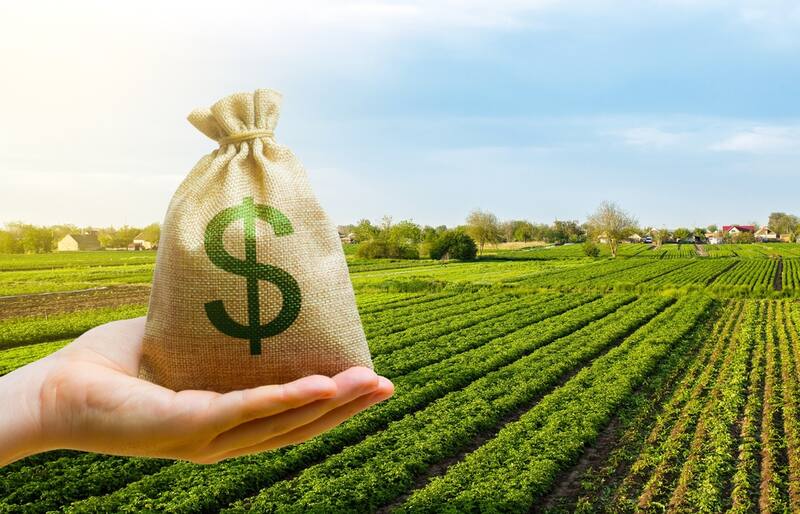 Los precios de los campos se recuperan y llegan a valores pre-pandemia