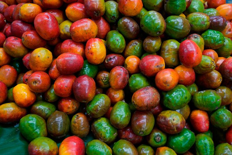 Jocote: el alimento que tiene más hierro que las lentejas. Fuente: archivo