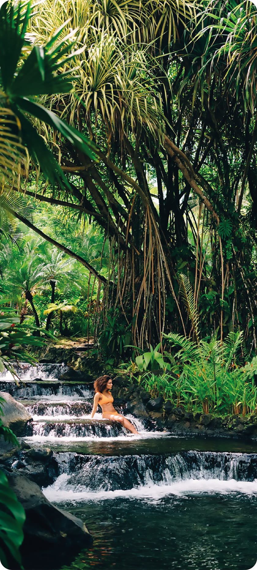 Aguas termales en el bosque