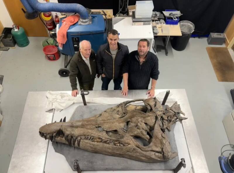 Descubrimiento sin precedentes en Reino Unido. Fuente: Twitter