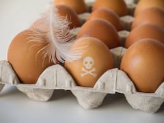 Alerta por Brote de Salmonella: la definición de los CDC sobre los alimentos contaminados y cómo prevenir los contagios