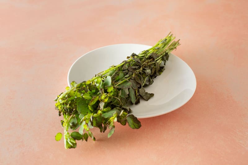 La planta mexicana que, además de aportar un gran sabor en las comidas, ayuda a regular la presión arterial y combate el hígado graso. Fuente: Shutterstock.