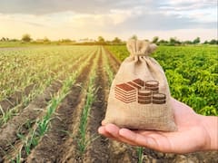 Productores agropecuarios pueden acceder a créditos de hasta 30 mil dólares