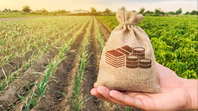 Productores agropecuarios pueden acceder a créditos de hasta 30 mil dólares
