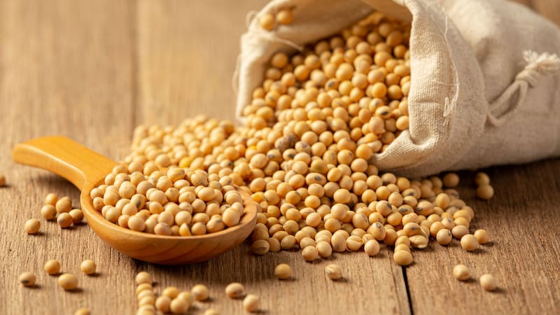 Las proteínas adecuadas en la dieta pueden marcar la diferencia en la ganancia de masa muscular.