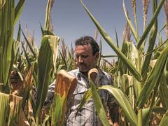 El novedoso plan que impulsa el agro para contrarrestar la Ley de Semillas