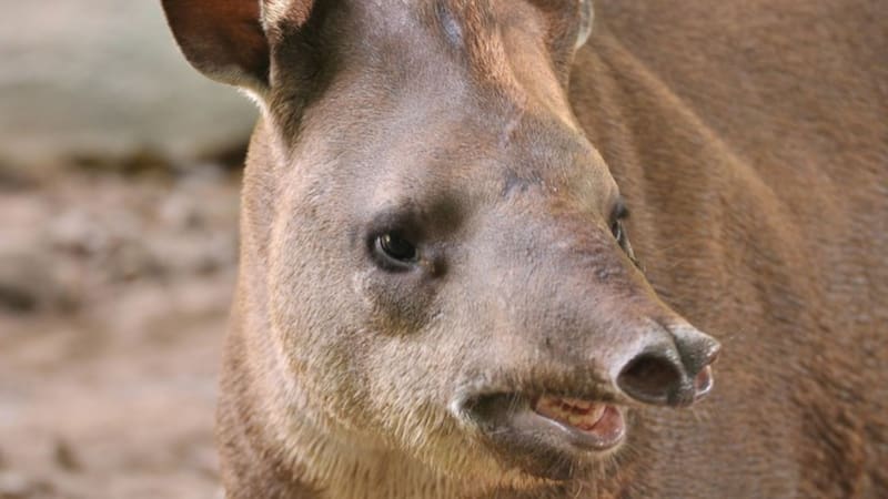 <div class="migrated-promo-image__description"><div class="migrated-promo-image__source">Fuente: Pexels</div></div>