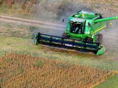 Alerta soja: se sembró menos a lo esperado por las inundaciones