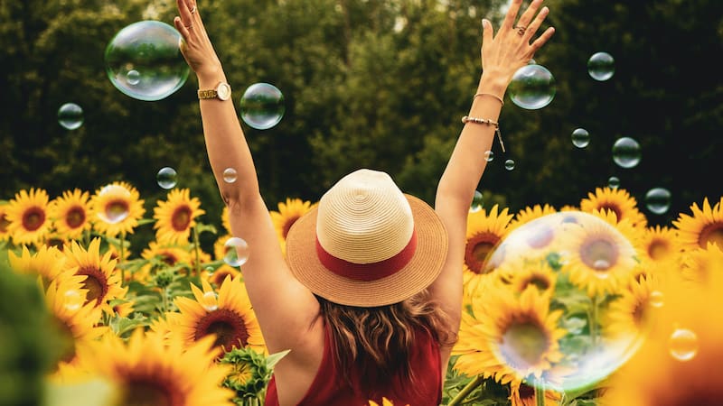 <div class="migrated-promo-image__description"><div class="migrated-promo-image__author">Pexels</div></div>