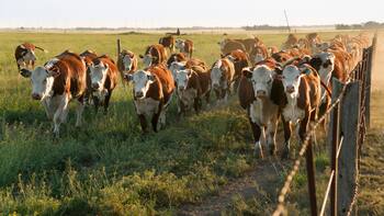 El 30% de los campos uruguayos está en manos de extranjeros, denuncian los productores