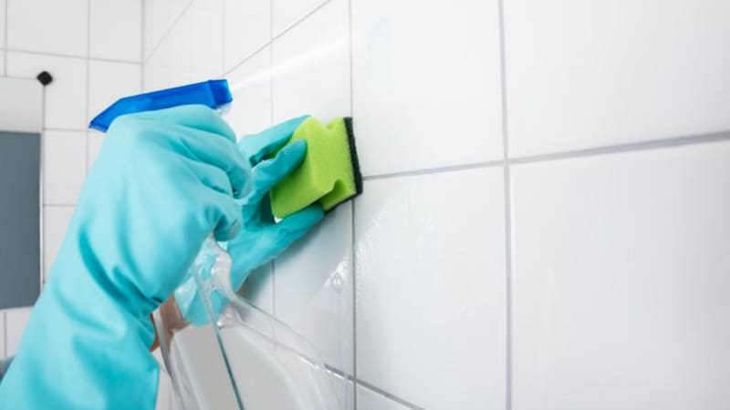 <div class="migrated-promo-image__description"><div class="migrated-promo-image__source">Fuente: Freepik</div></div>